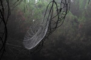 引っ越し後の湿気対策に最適な方法は？