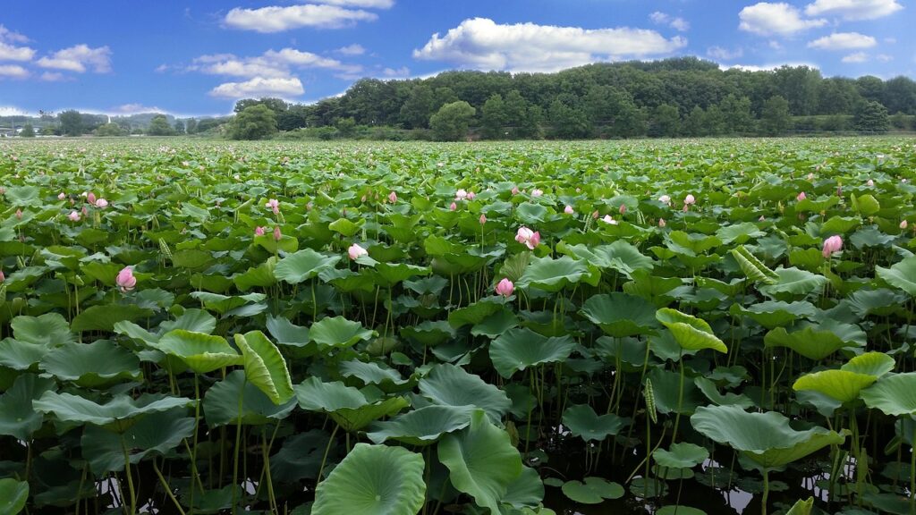 梅雨に備えるカビ予防の方法とは？