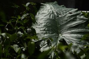 湿気の取り方で効果的な方法は？