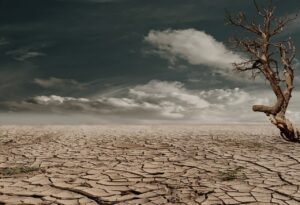 扇風機を使った乾燥対策は梅雨に効果的なのか？
