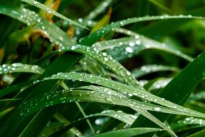 湿気を効果的にとる方法にはどんなものがある？