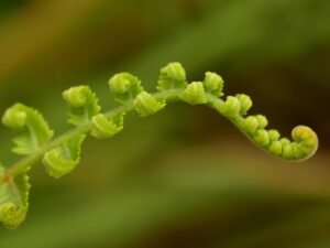 湿気対策に役立つおすすめグッズは？