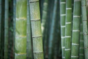 竹炭を使った除湿効果が期待できるクローゼットの活用法は？