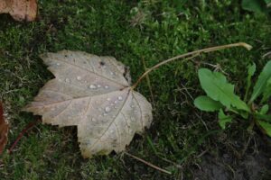 除湿シートを冷蔵庫に使うことで得られる効果は？