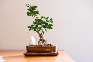リビングで使える除湿グッズのおすすめは？