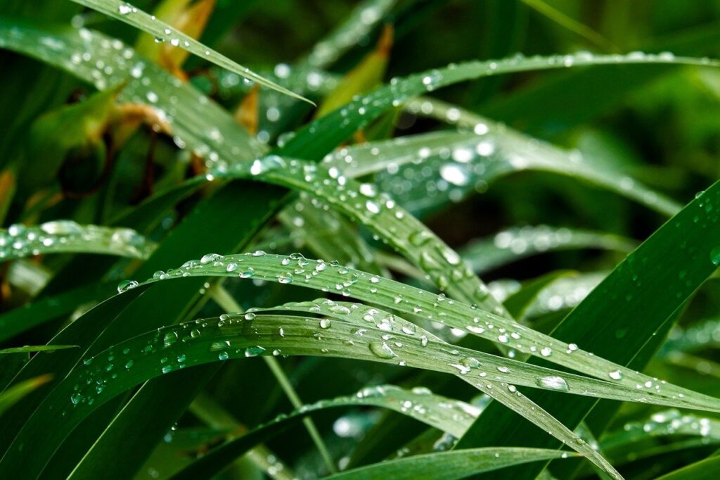 押入れに効果的な除湿シートの使い方とは？