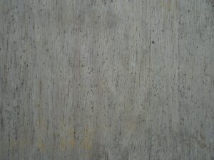 クローゼットにカビが生えた時の対処方法は？