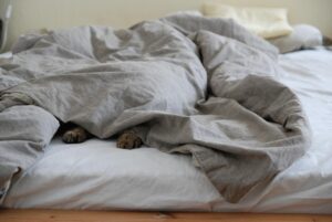 布団のカビ防止に効果的なグッズは？