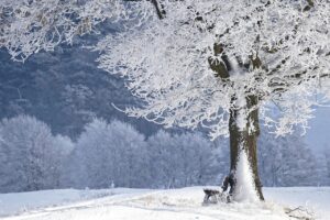 除湿機を使った冬の結露対策とカビ防止の方法は？