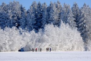 除湿機を使った冬の結露防止に最適な家電は？