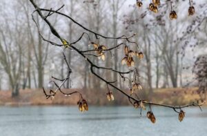 除湿機を使った押入れの湿気が溜まる原因とその対策は？