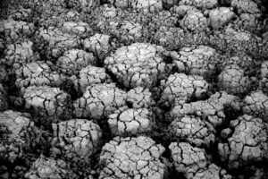 除湿機を使って洗濯乾燥を効率良くする方法は？