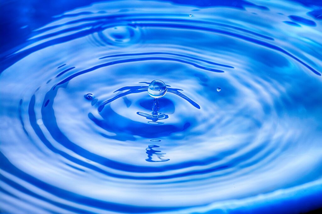 除湿機を使ったトイレのカビと臭い取りの方法は？