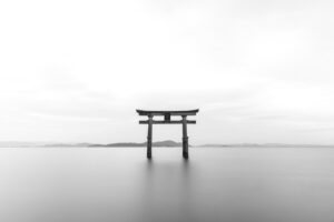 除湿機を使ったペット部屋の湿気防止モデルは？