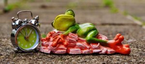 除湿機を使った一人暮らしにおすすめの選び方は？