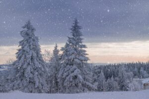 除湿機を使った部屋干しの冬における効果はある？