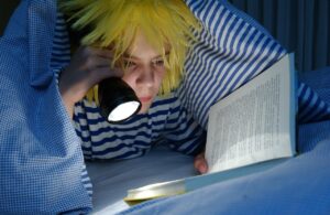 押入れに布団を収納するためのすのこ活用法は？