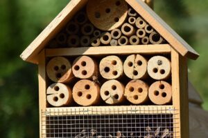 防虫剤のカビに対する効果はどれくらいあるの？