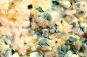 タンスのカビ対策に効果的な換気方法は？