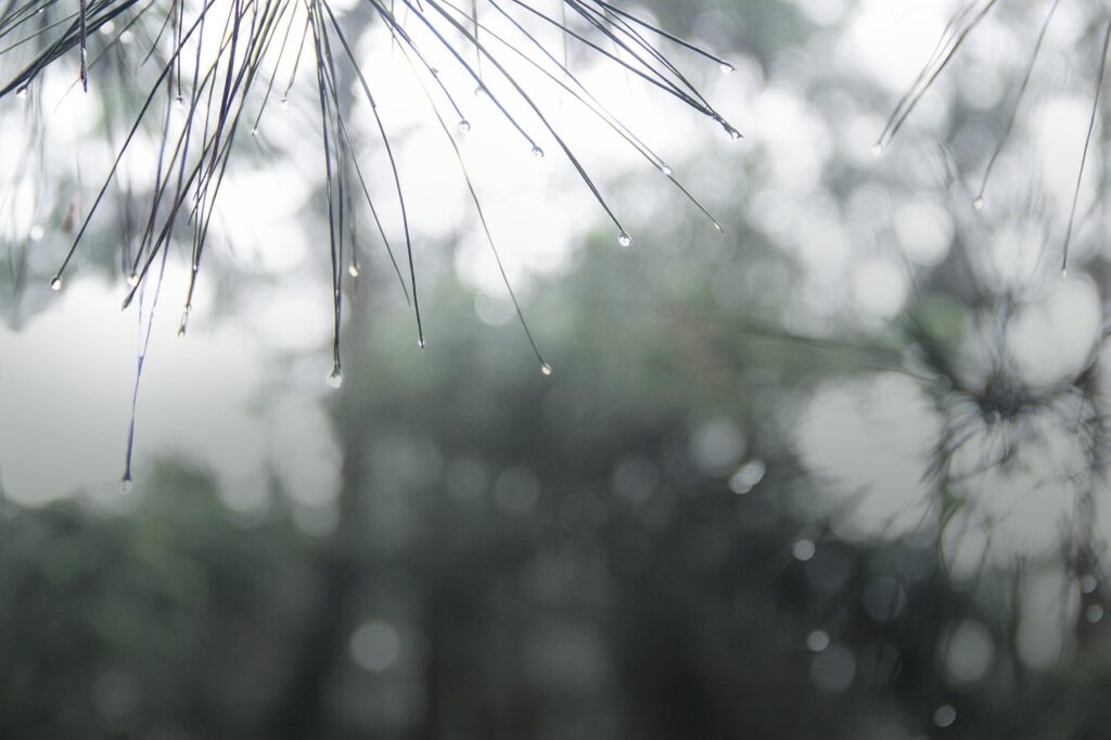 布団乾燥機で衣類乾燥が簡単にできる梅雨のおすすめアイテムは？