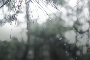 布団乾燥機で衣類乾燥が簡単にできる梅雨のおすすめアイテムは？