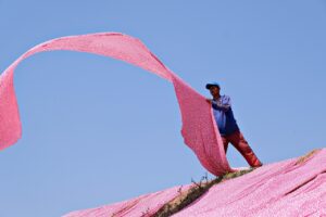 布団乾燥機を使った衣類乾燥で部屋干しの臭いを解消する方法は？