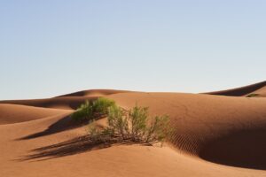 布団乾燥機を使った衣類乾燥は電気代が安いのか？