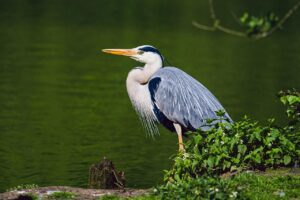 食器棚の除湿効果を上げるためのポイントは？