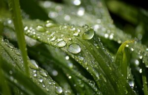 冷蔵庫の湿気取りはどれくらいの頻度で行うべきか？