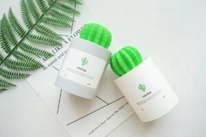 加湿器を使ってカビを防ぐための湿度管理方法は？